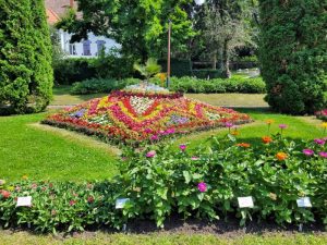 Der Botanische Garten "Alexandru Borza" in Cluj-Napoca