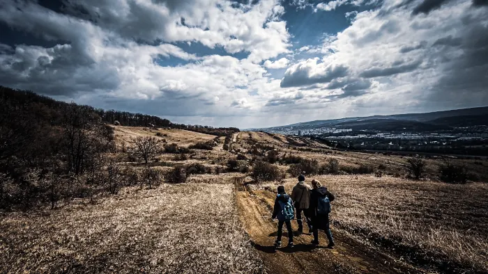 Hiking in Hoia Baciu forest