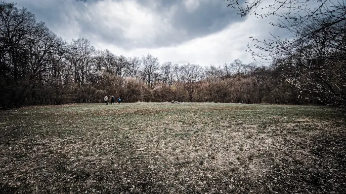 Hoia Baciu forest circle